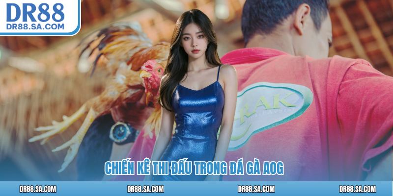 Chiến kê thi đấu trong Đá gà AOG