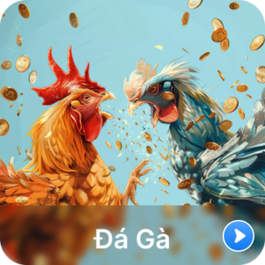 đá gà