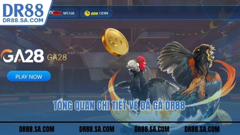 Tổng quan chi tiết về đá gà DR88