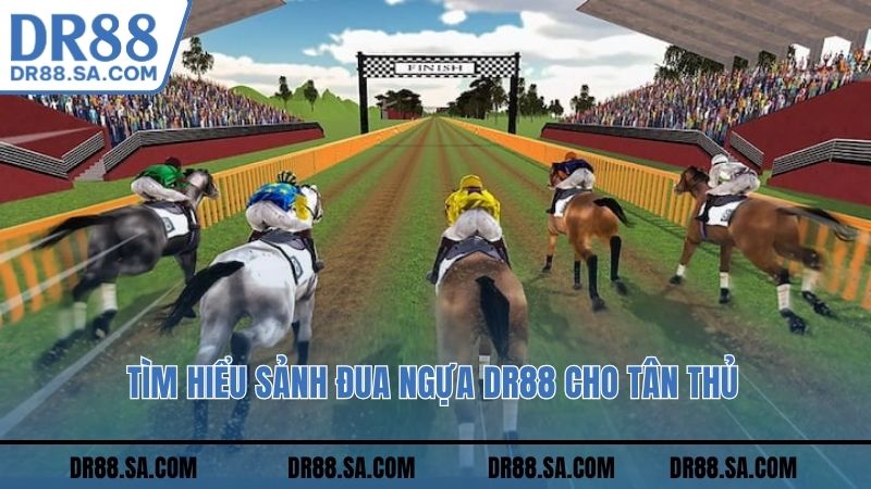 Tìm hiểu sảnh đua ngựa DR88 cho tân thủ