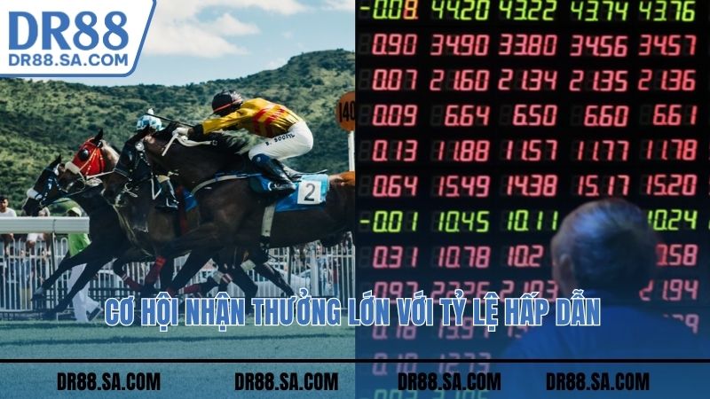 Cơ hội nhận thưởng lớn với tỷ lệ hấp dẫn