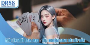 Tiến lên miền Nam DR88